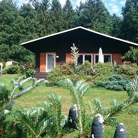 Chalet Harmonie Harzgerode Exterior foto
