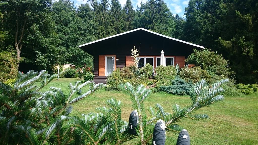 Chalet Harmonie Harzgerode Exterior foto